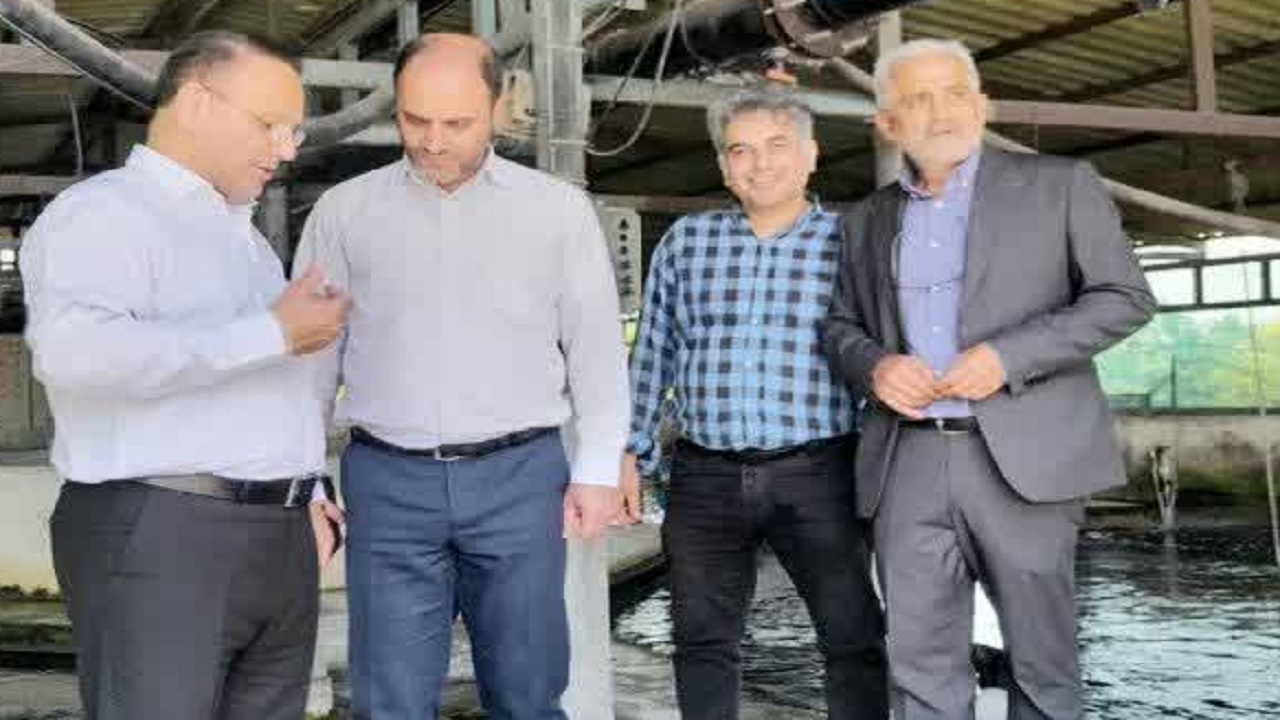 فعالیت بیش از ۳۸۰۰ واحد آبزی پروری در مازندران