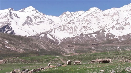 حجم زیاد برف در ارتفاعات زردکوه + فیلم