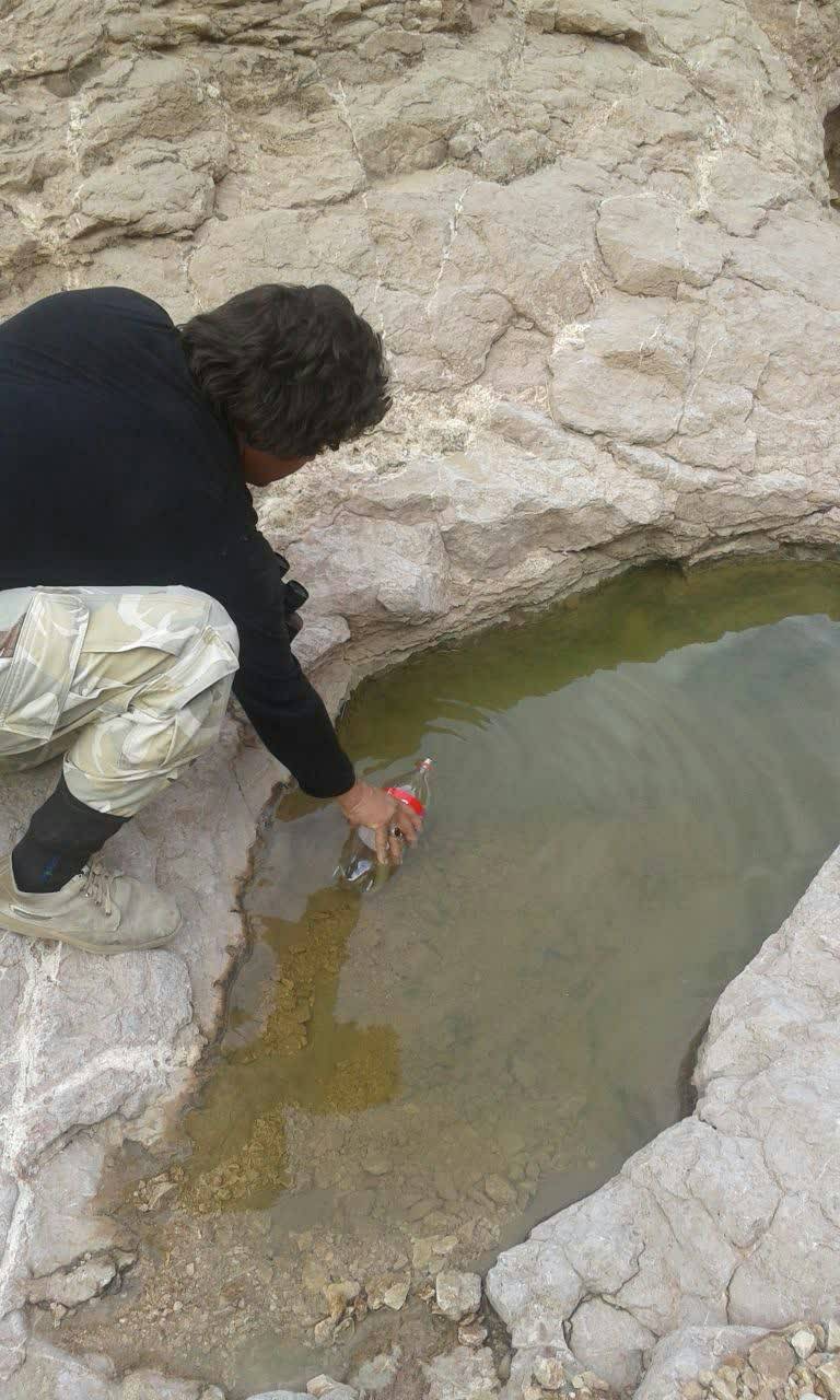 گردشگران در بجستان