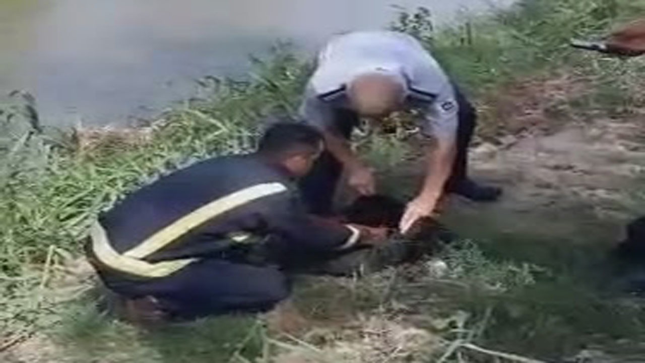 کشف جنین سقط شده در بابلرود 