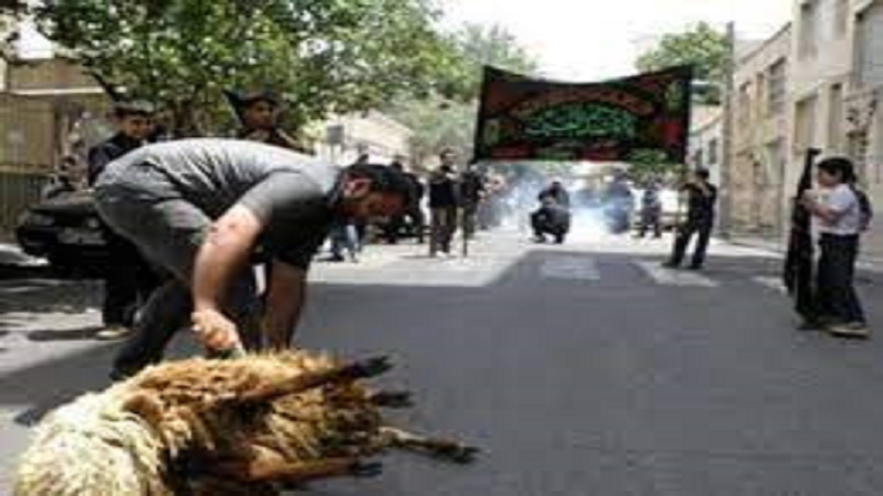 ذبح دام در محل سکونت؛ تهدیدی برای سلامت