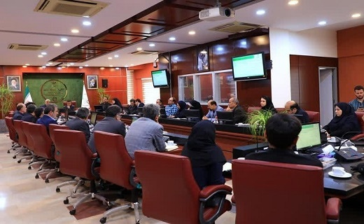 تشریح آخرین وضعیت تالاب انزلی
