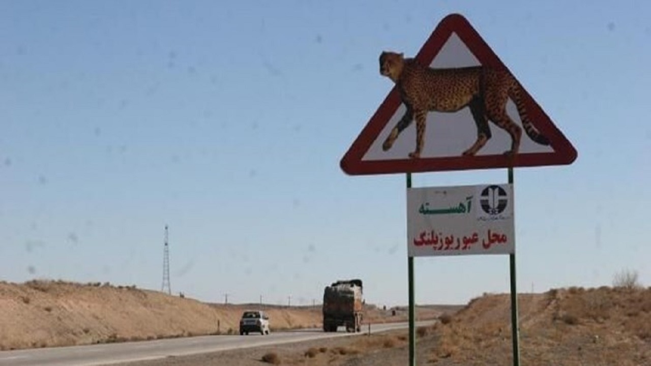 ۲۰۰ میلیارد ریال برای امن‌سازی قلمرو یوزپلنگ آسیایی مصوب شد