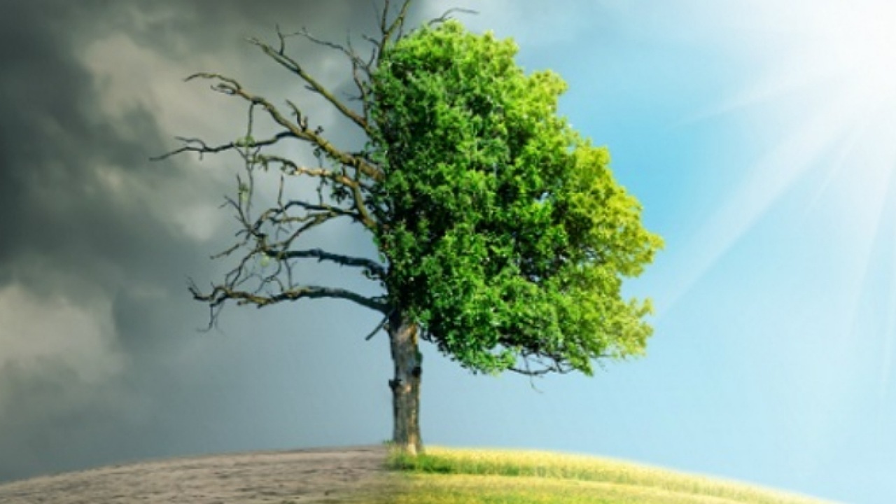 درخواست دبیرکل سازمان جهانی بهداشت برای اقدام فوری علیه تغییرات اقلیمی