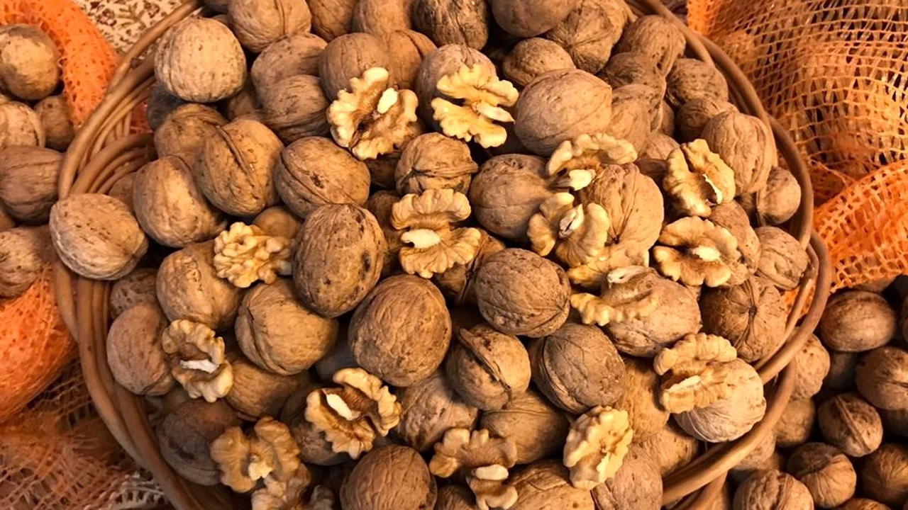 گردو چه خواصی برای بدن دارد؟ + فیلم