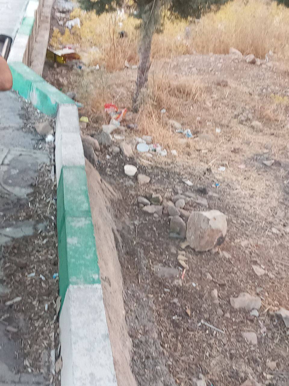 پارک جنگلی چغاسبز
