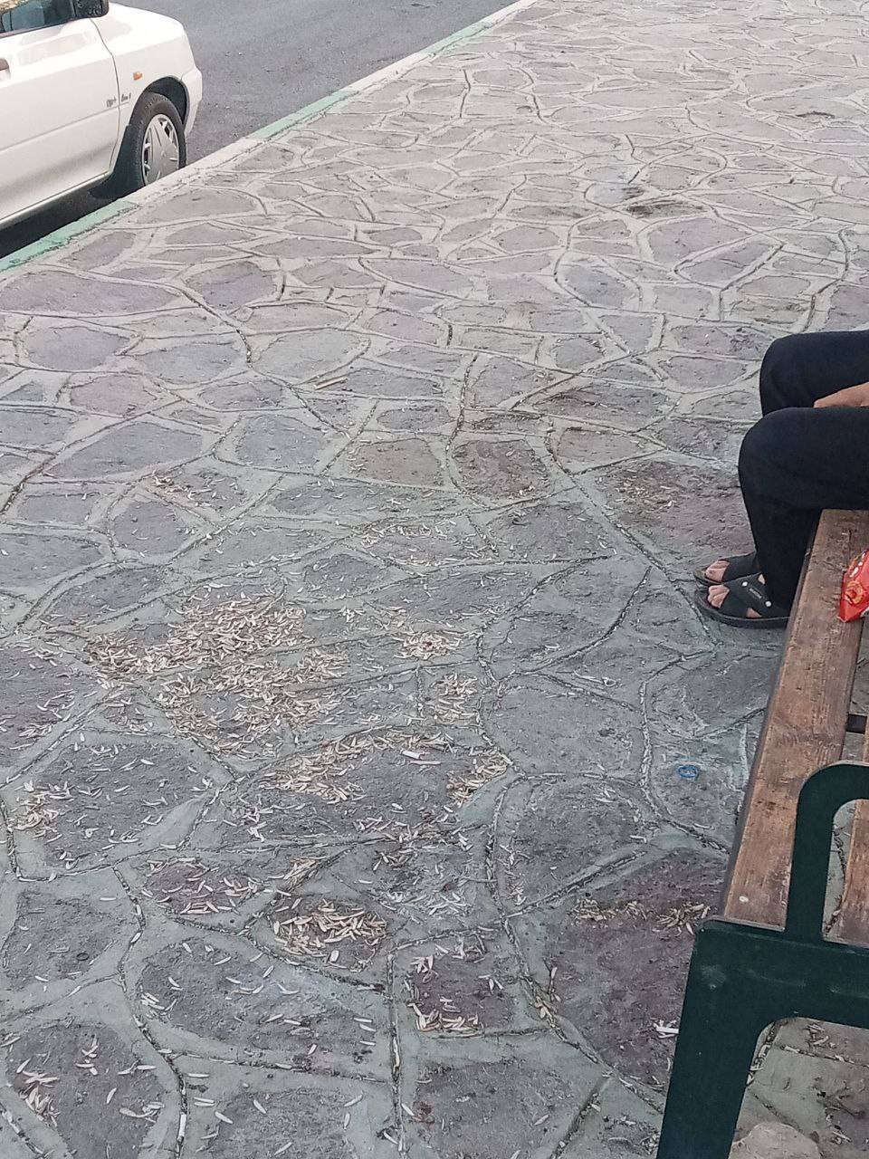 پارک جنگلی چغاسبز