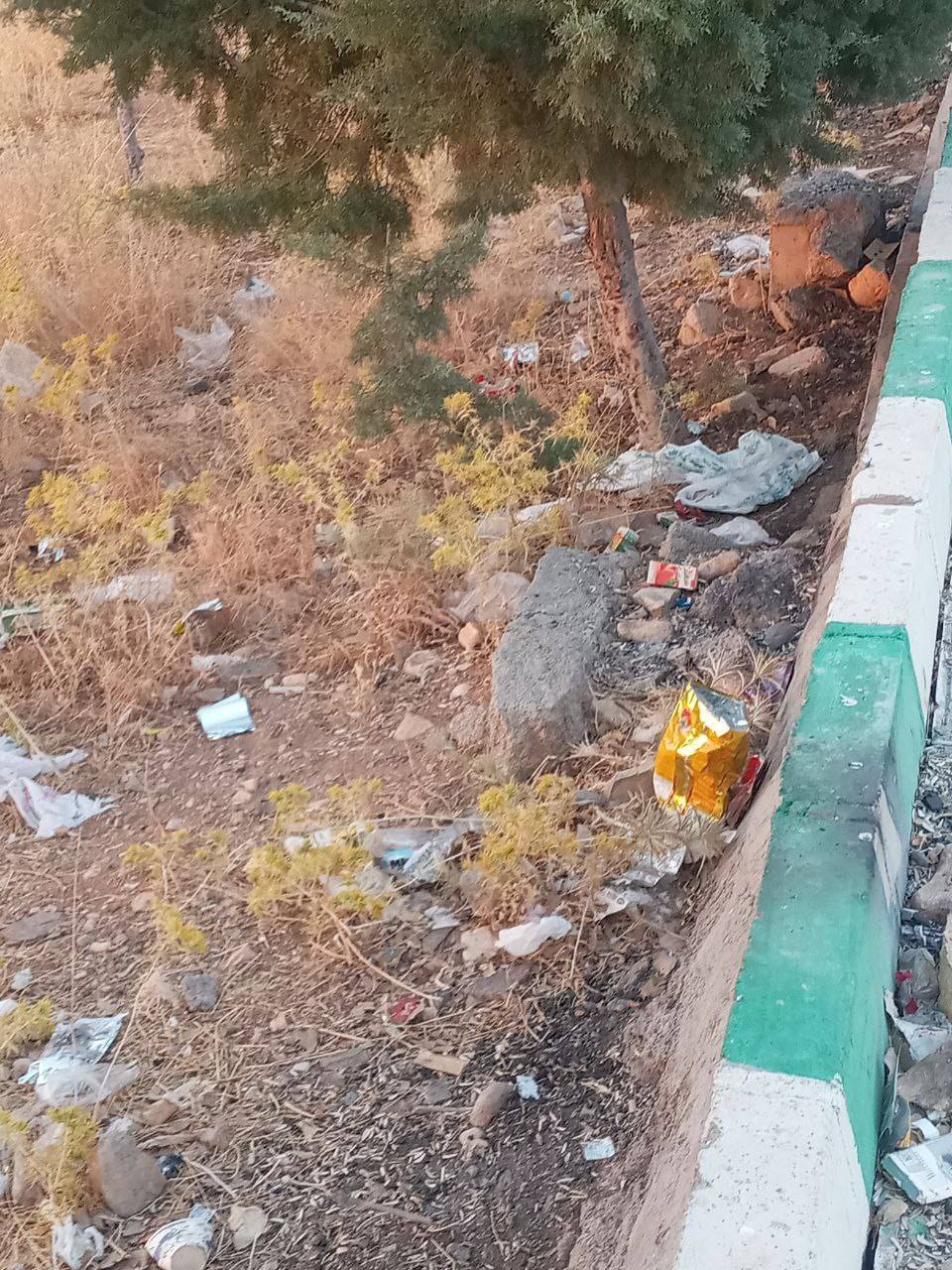 نداشتن امکانات رفاهی در پارک جنگلی چغاسبز