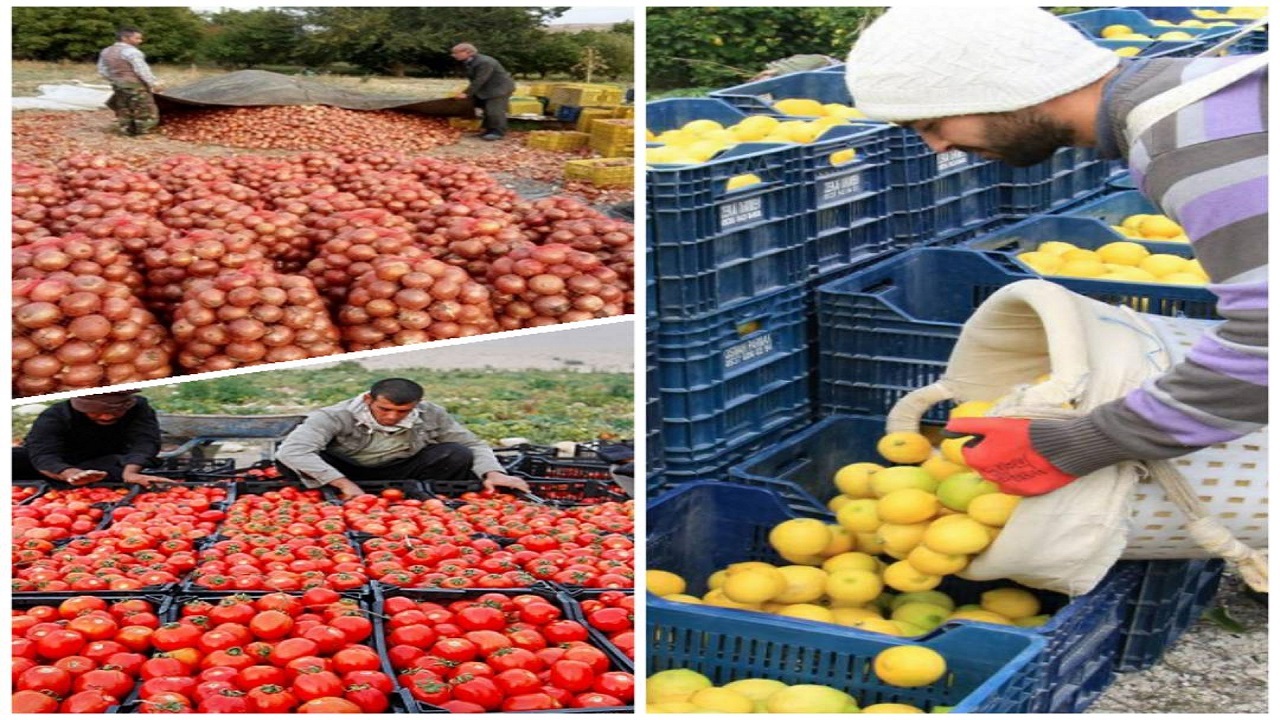 اگر محصولاتتان بدون مشتری مانده، تصاویر آن را برای ما ارسال کنید