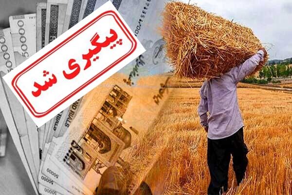 پرداخت مطالبات گندمکاران در دستور اجرا