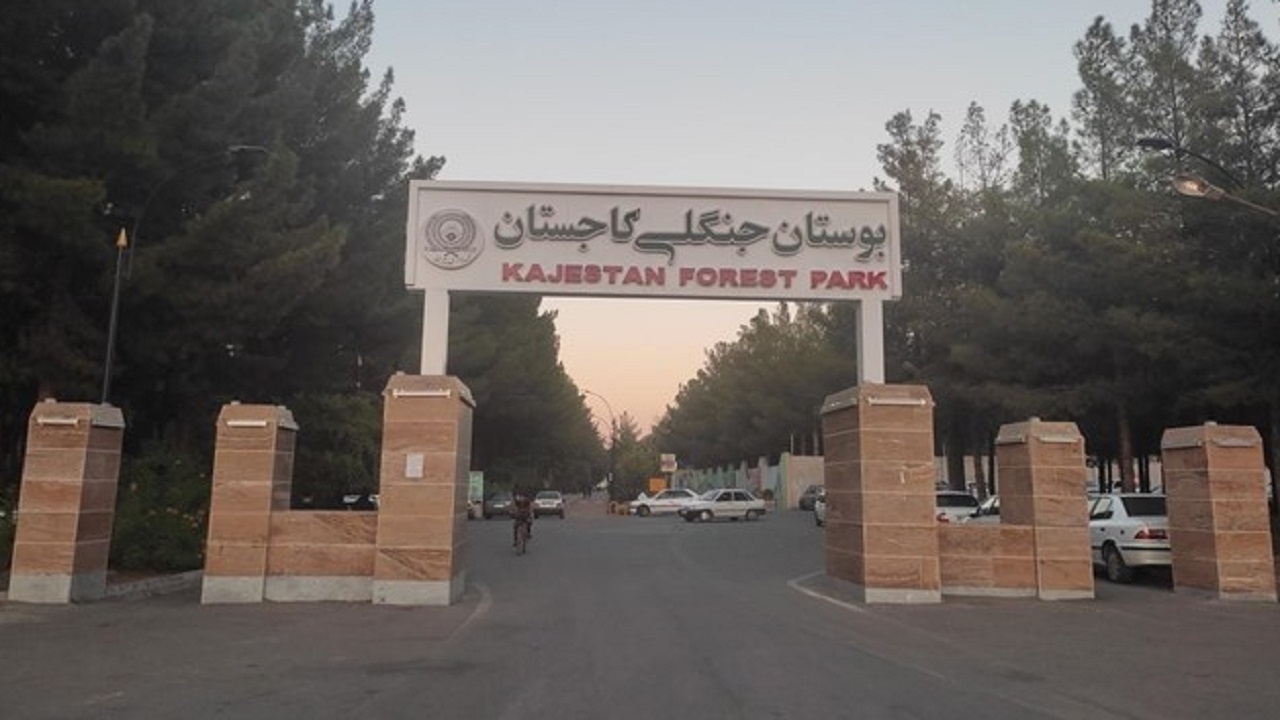 حادثه مارگزیدگی در کاجستان بیرجند واقعیت داشت؟