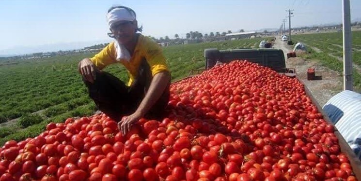 فروش روزانه و توافقی محصولات کشاورزی در بازارهای روز شهرداری اصفهان