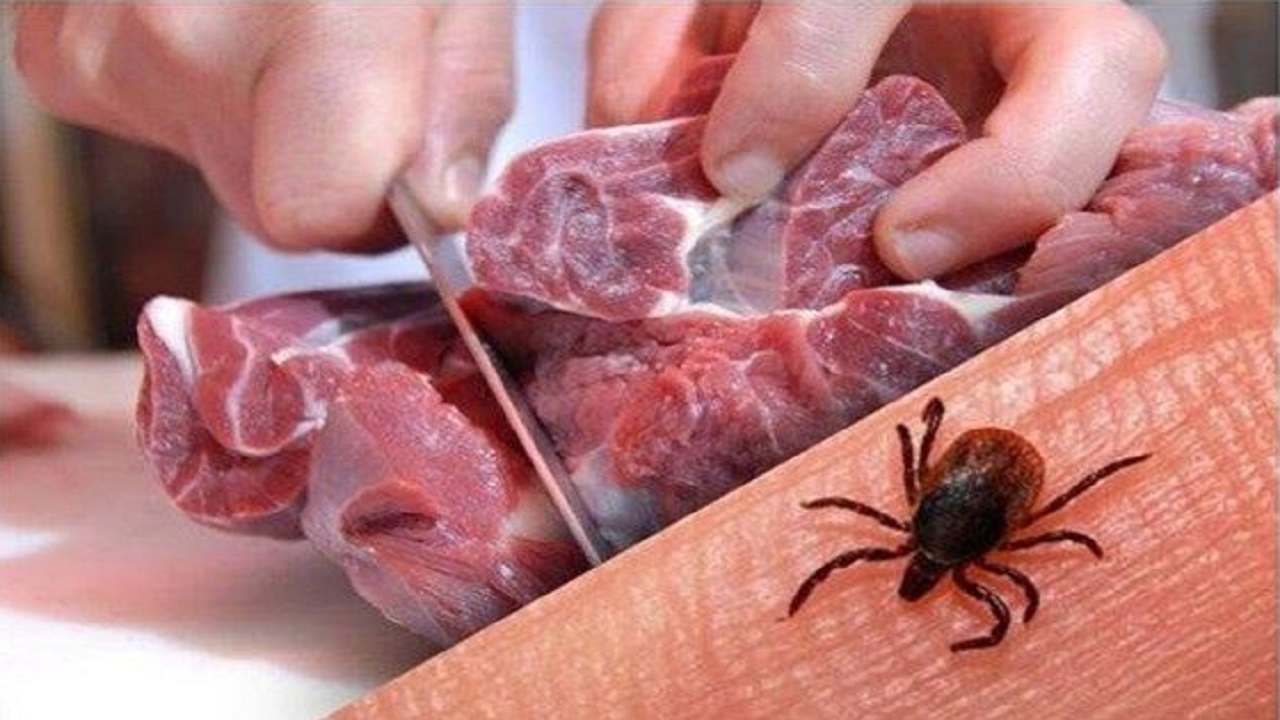 ۲ مورد ابتلا به تب کریمه کنگو در خراسان رضوی شناسایی شد