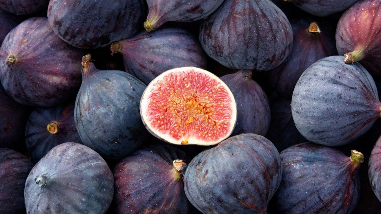 انجیر انجیر