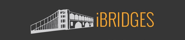 انجمن i-aim از سال ۲۰۱۴ بانی پروژه&zwnj;ای به نام iBRIDGES در خارج از کشور شد