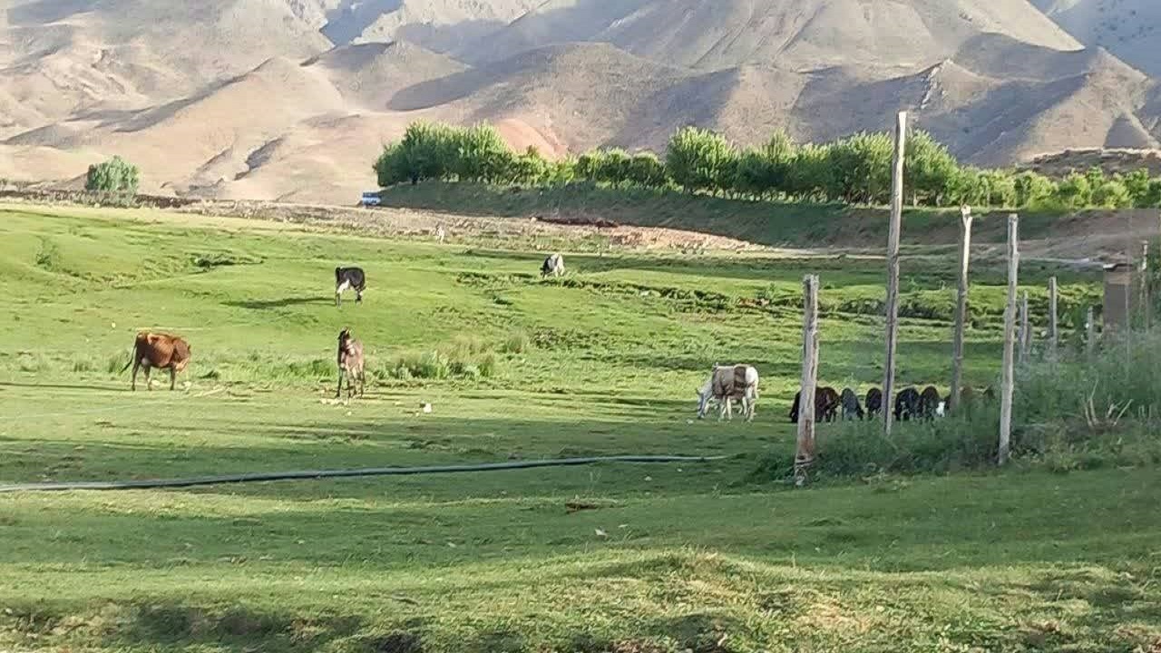 نمایی از طبیعت زیبا و بکر روستای غرق آب زار فریمان