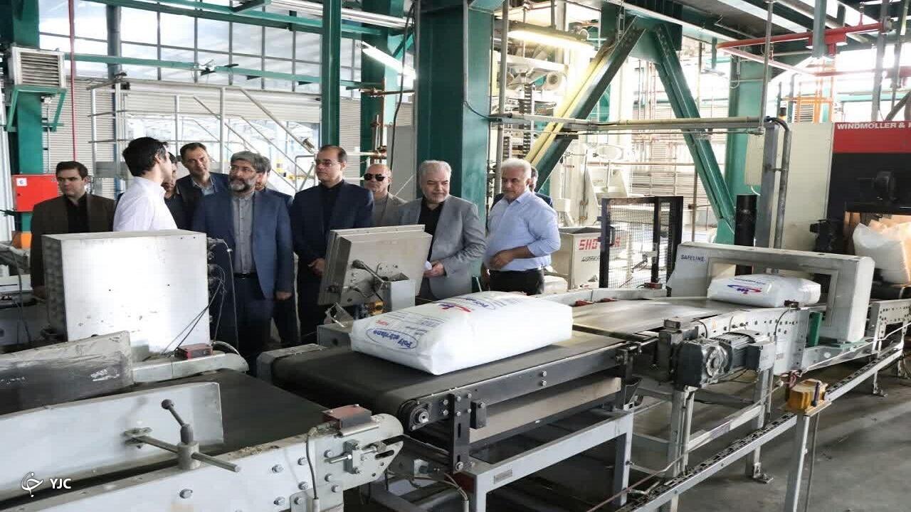 بررسی مشکلات مجتمع پتروشیمی مهاباد