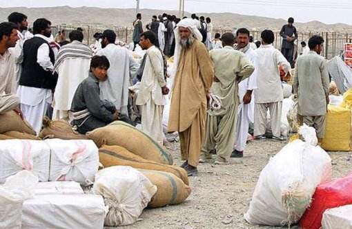 جهاد دانشگاهی جایگاه ویژه در توسعه صنعت کشاورزی و منابع طبیعی استان دارد
