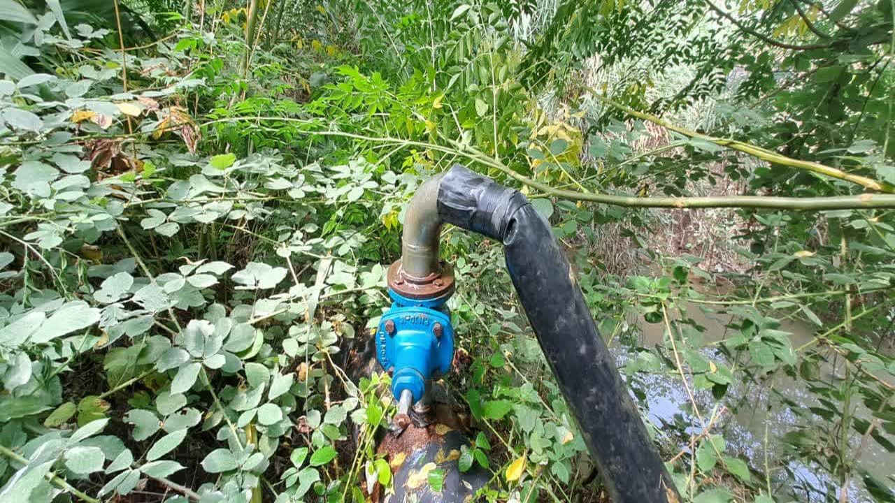 آب دزدی از خط لوله شهری برای آبیاری زمین کشاورزی+فیلم