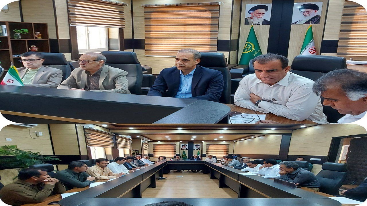 پاییز امسال بیش از ۳۸ هزار هکتاراز زمین های کشاورزی به زیر کشت گندم می‌رود