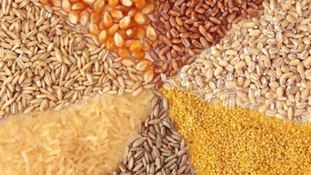 کشف ۱۶ تن نهاده دامی قاچاق در مراغه