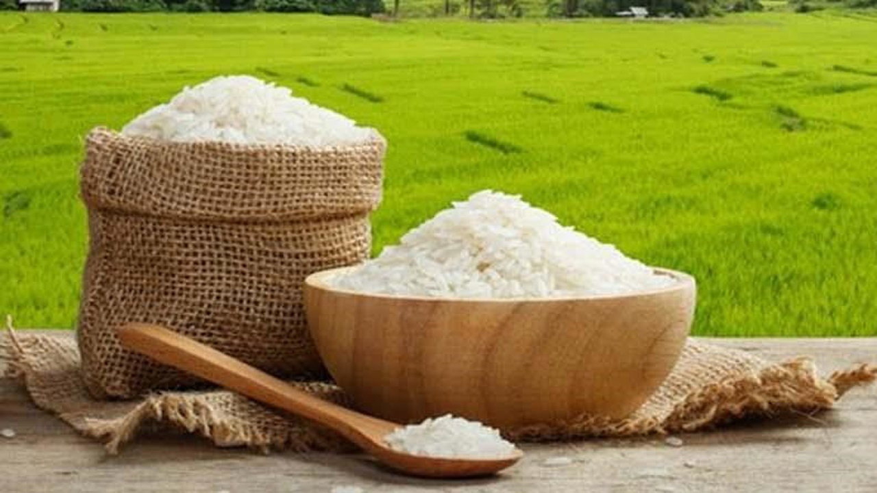 برنج‌های شمال ارزانتر از پارسال اما به یک شرط + فیلم
