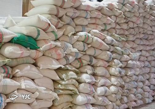 برنج&zwnj;های شمال ارزانتر از پارسال + فیلم