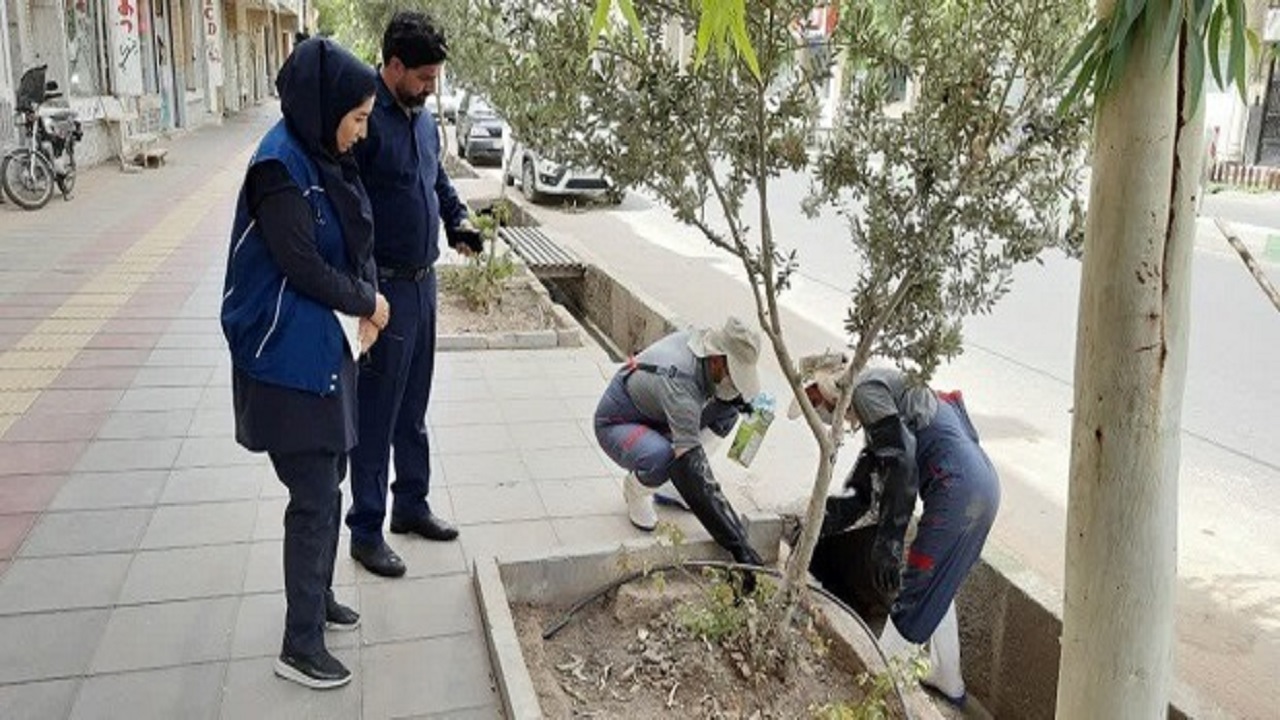 آغاز مبارزه با موش‌ها در قم