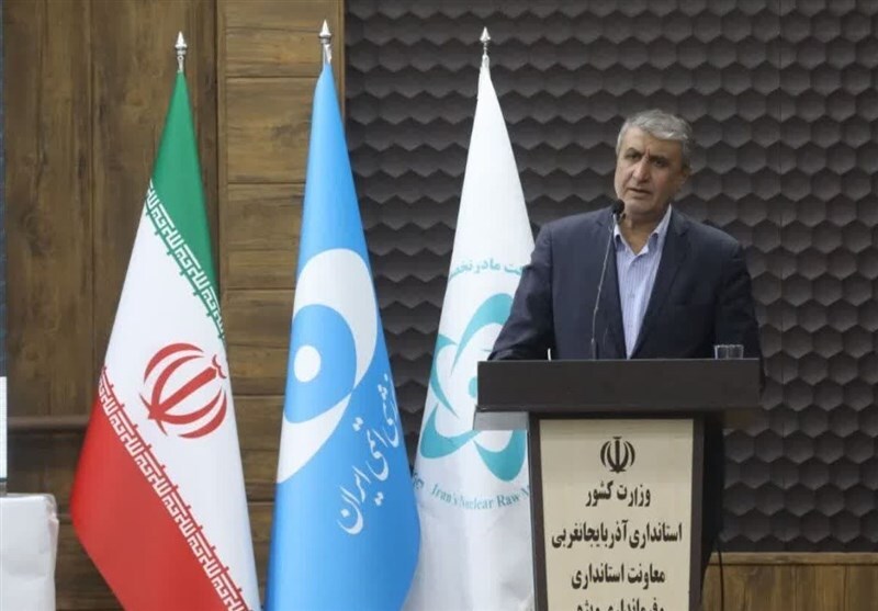 محمد اسلامی، رئیس سازمان انرژی اتمی