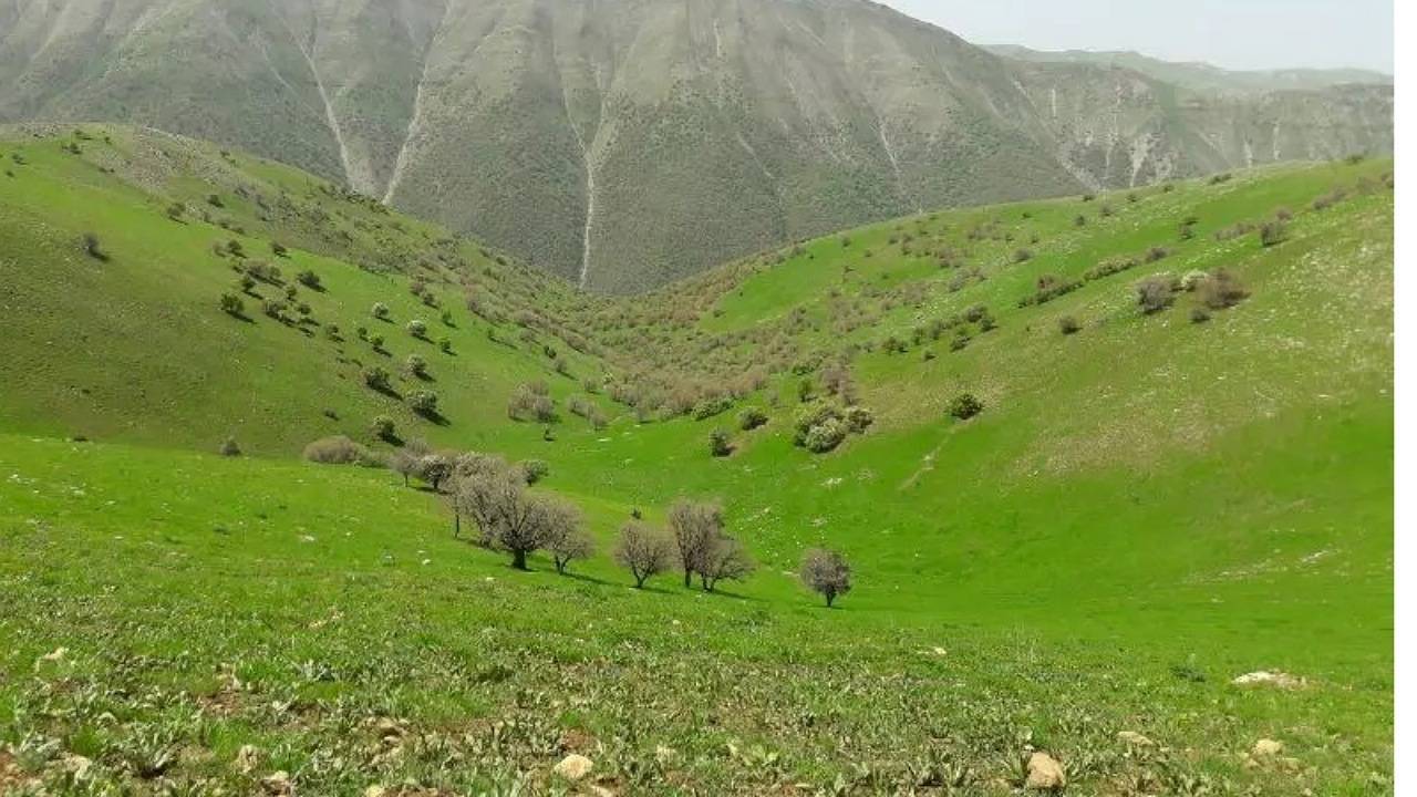 ممیزی و تنسیق بیش از ۲۹ هزار هکتار از مراتع جنوب کرمان