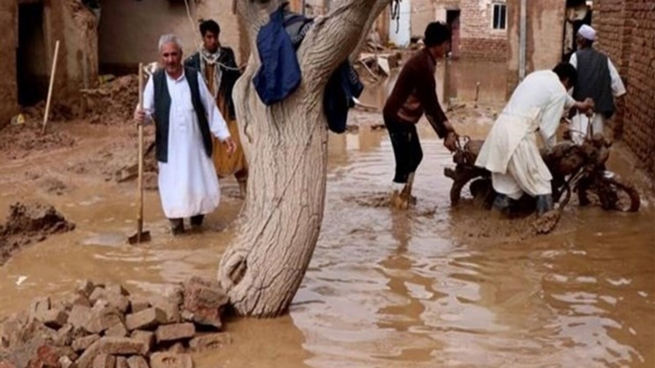 سیلاب حدود ۲ هزار جریب زمین زراعتی در غزنی را از بین برد