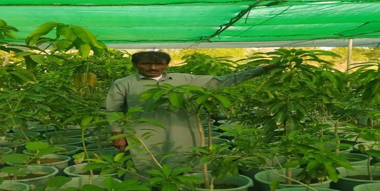 کشاورز سیستان و بلوچستانی کشاورز سیستان و بلوچستانی