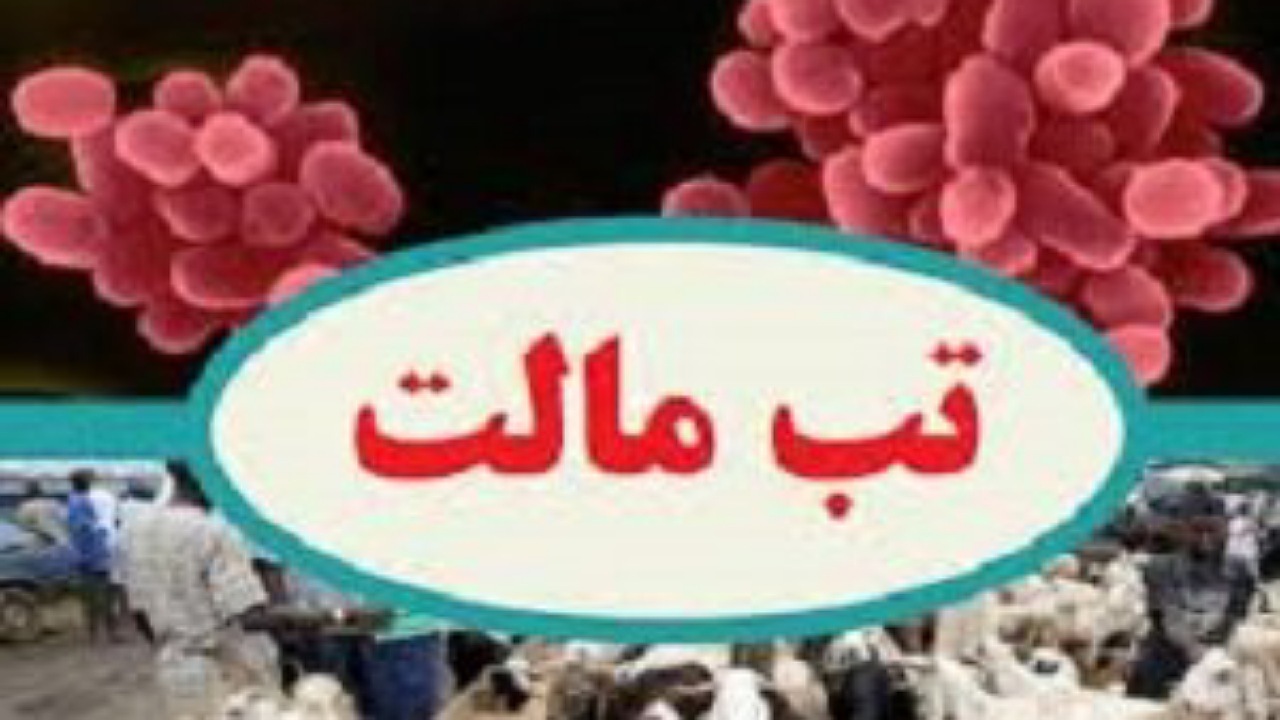 شناسایی یک هزار و ۸۶۰ فرد مبتلا به تب مالت در همدان