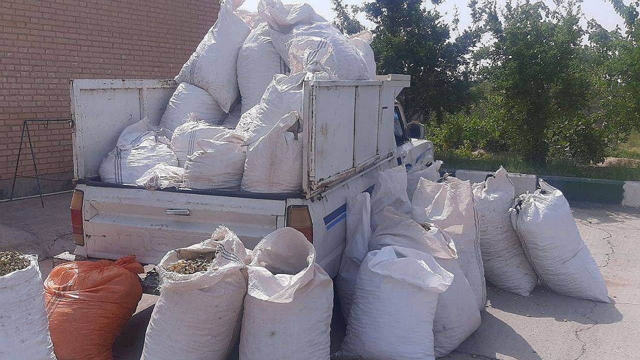 دستگیری عامل سرقت ۲ تن پسته کال در سیرجان