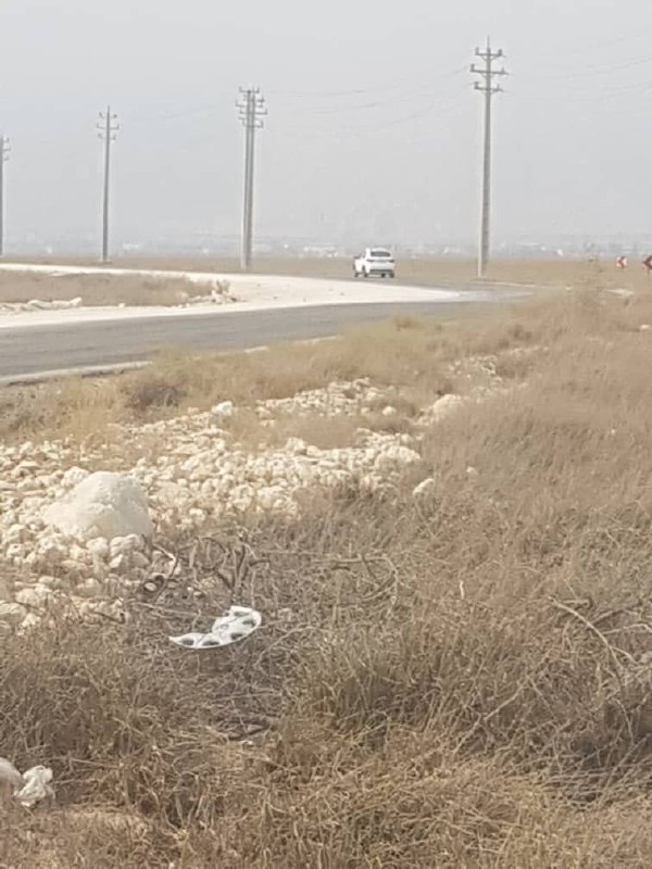 جاده