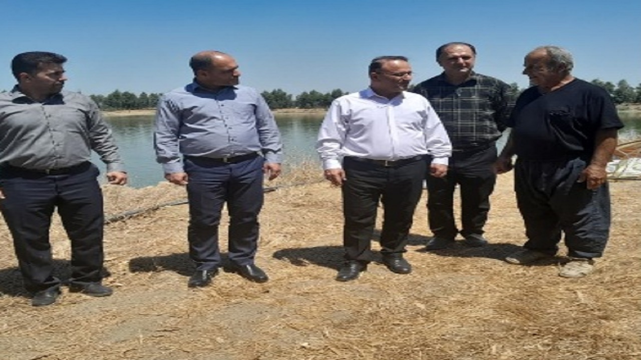 تولید ۲۲ درصد ماهیان گرم آبی مازندران در سه شهرستان