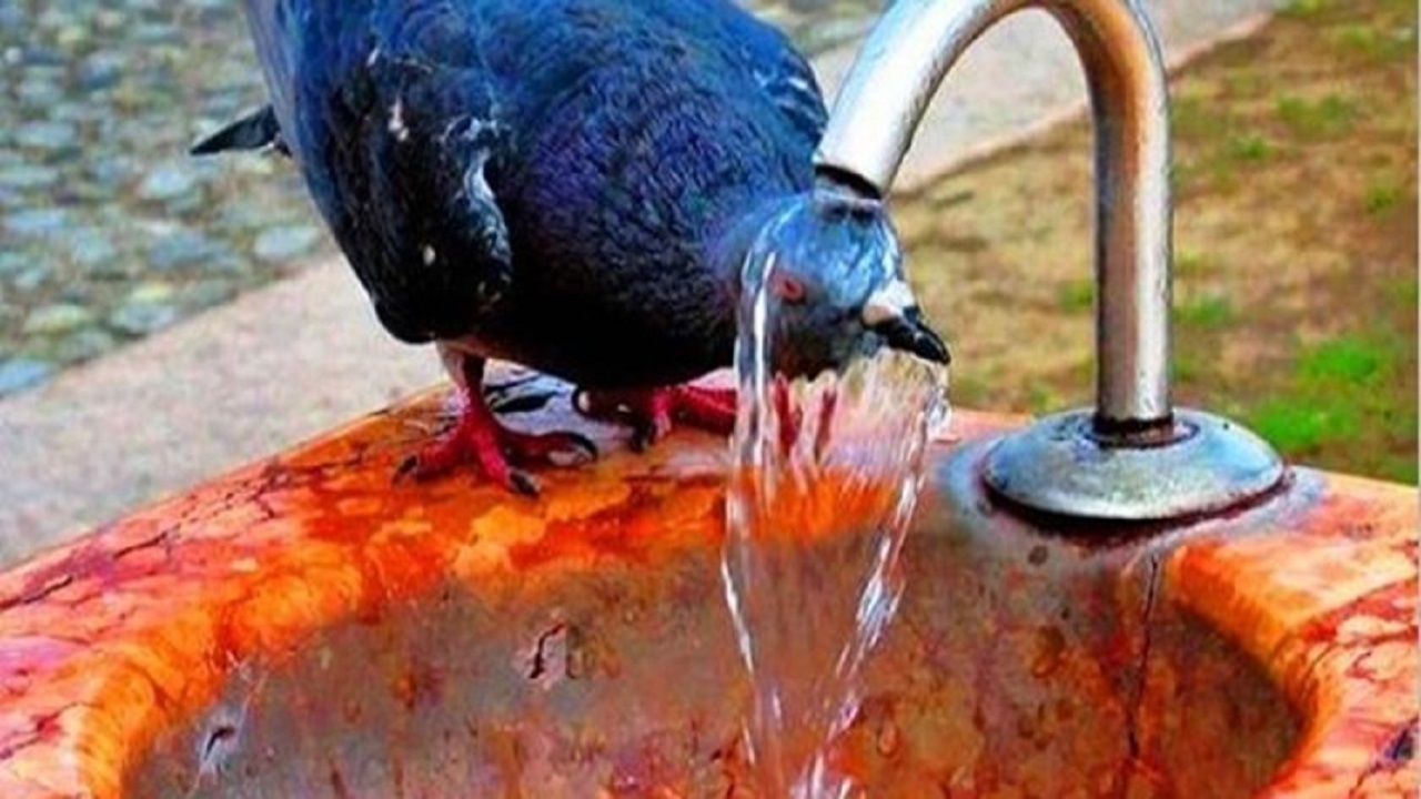 وقوع شرجی نفس گیر در آبادان و خرمشهر