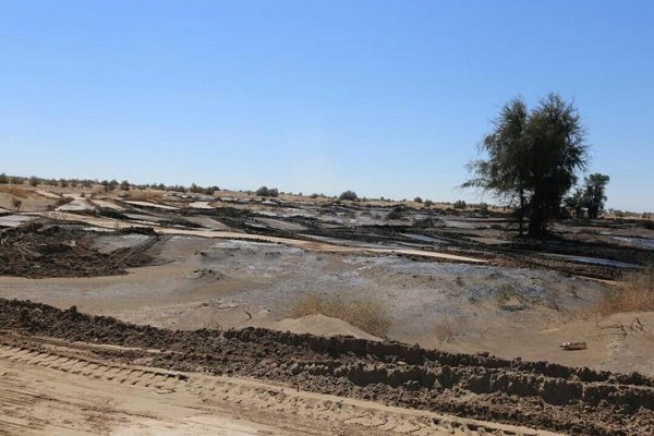 برای اولین بار، مالچ‌پاشی طبیعی در کانون‌های گرد و غبار خوزستان