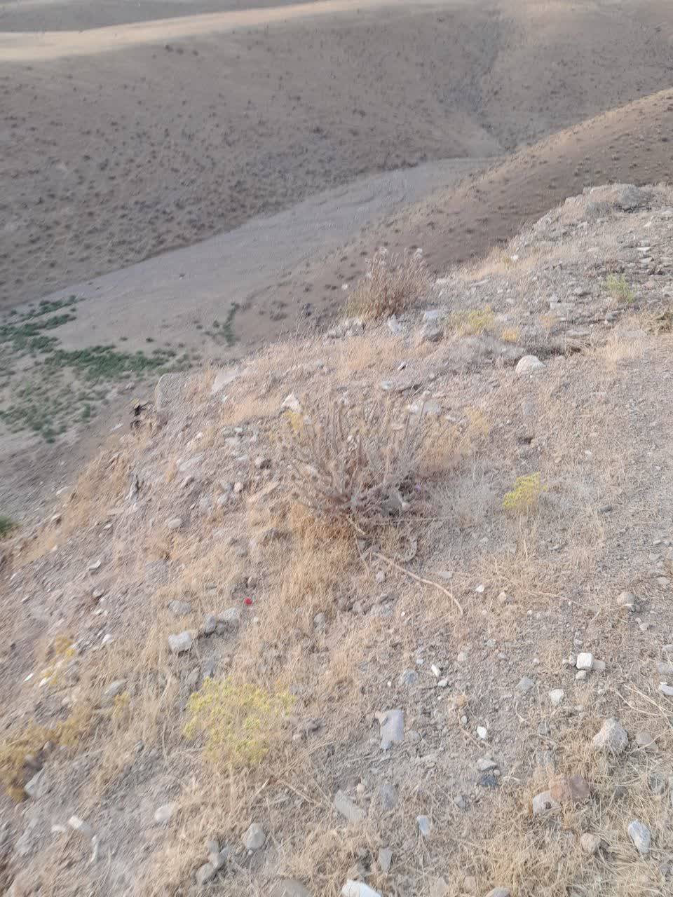 مسکن مهر