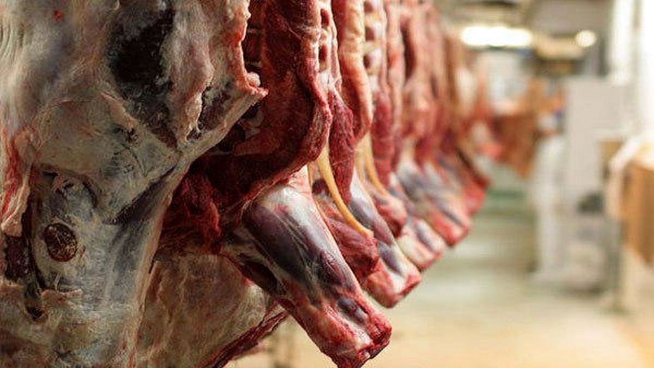اجرای طرح تولید قرار دادی گوشت قرمز