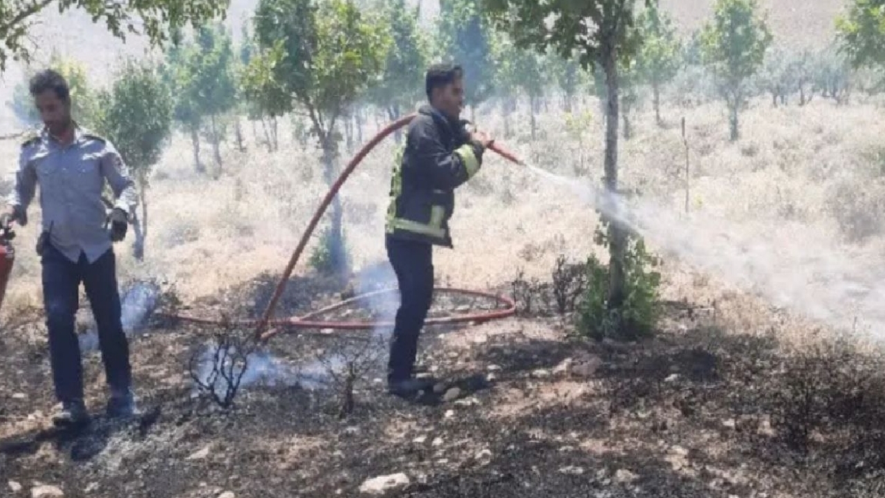 آتش سوزی ۱۰ هکتار از مزارع و باغات روستای خسروآباد