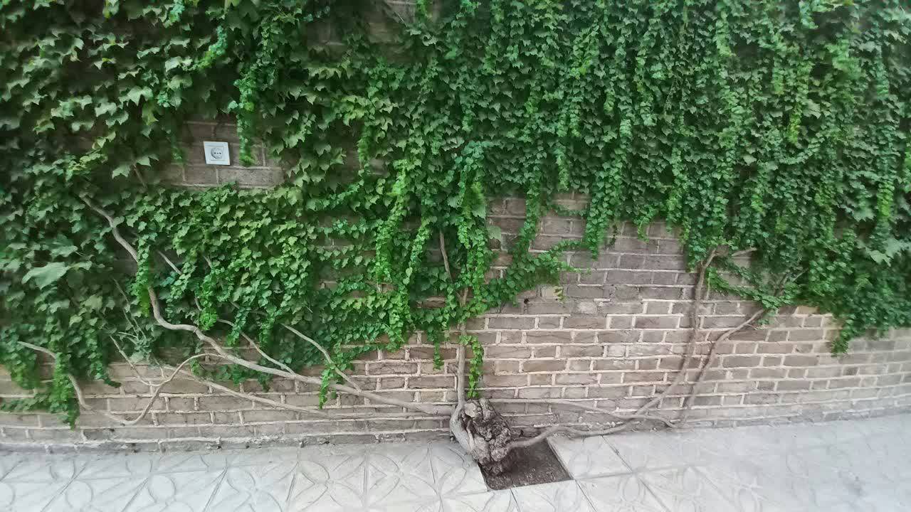 منزل قدیمی مقام معظم رهبری منزل قدیمی مقام معظم رهبری
