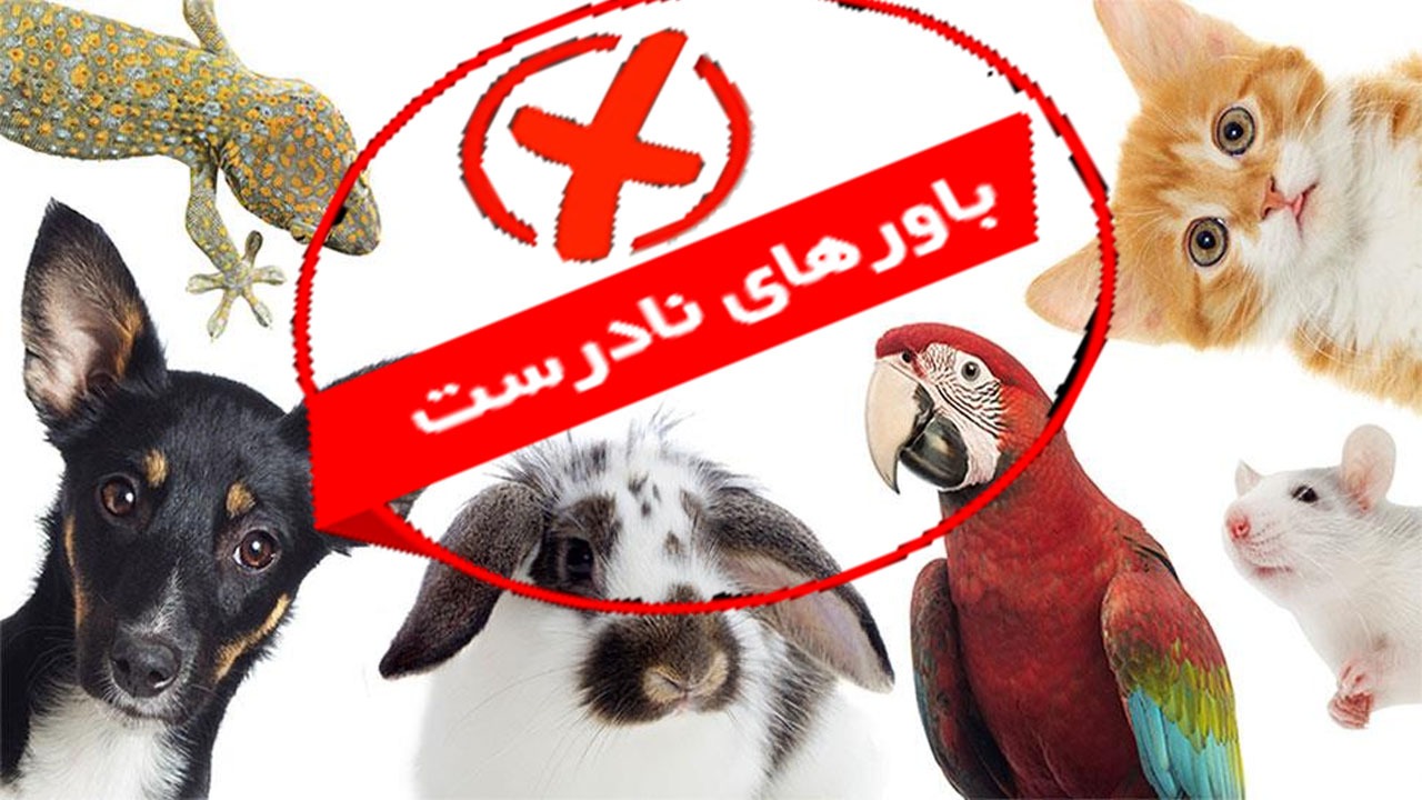 رایج‌ترین باور‌های اشتباه در مورد حیوانات