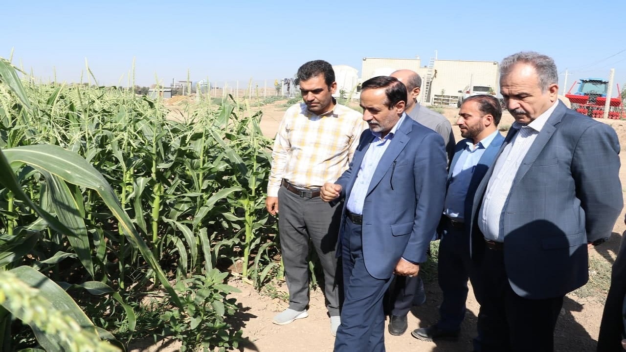 بازدید معاون وزیر جهاد کشاورزی از یک طرح کشاورزی در شهرستان البرز