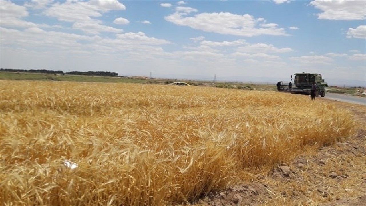 واگذاری ۳۸ مرکز خدمات جهاد کشاورزی استان اردبیل به بخش خصوصی