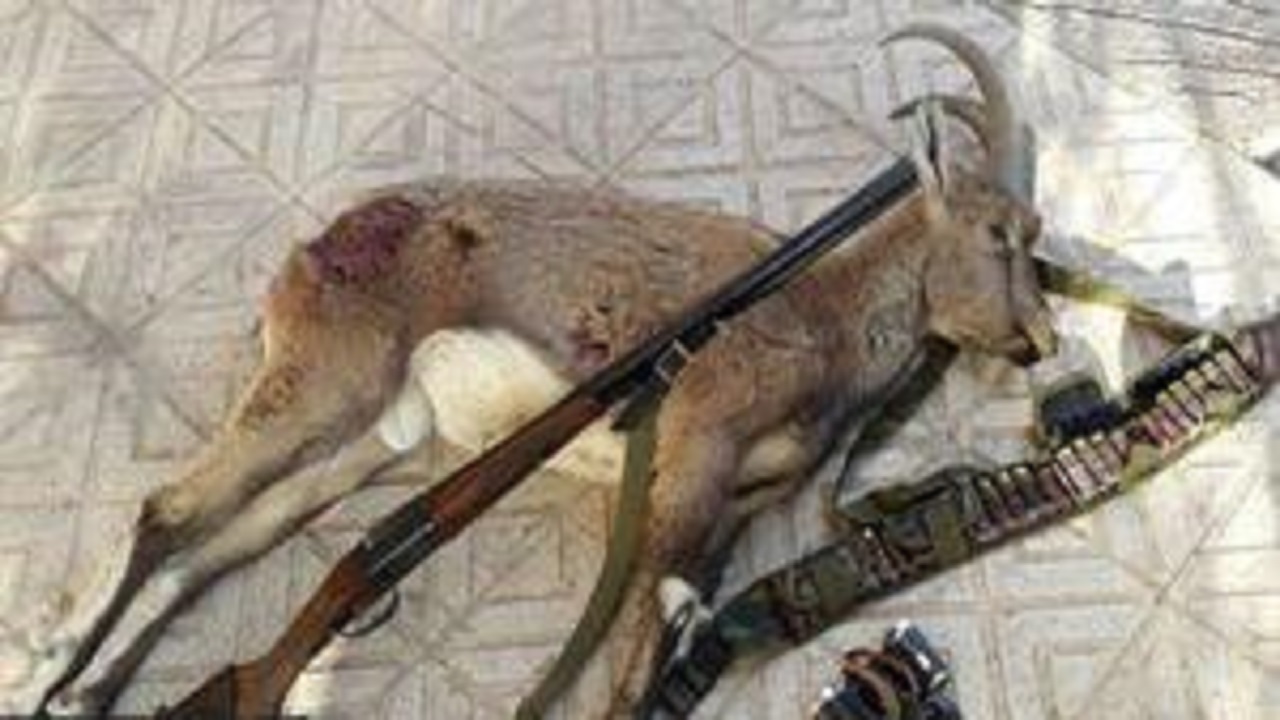 دستگیری شکارچیان آهو در جاجرم