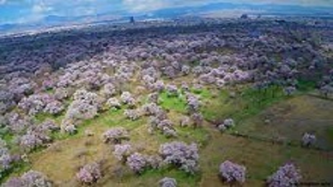 باغستان سنتی قزوین در جیاس ثبت می‌شود