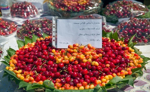 در روزهای داغ تابستان به این شهر خنک و زیبا سفر کنید+فیلم و عکس