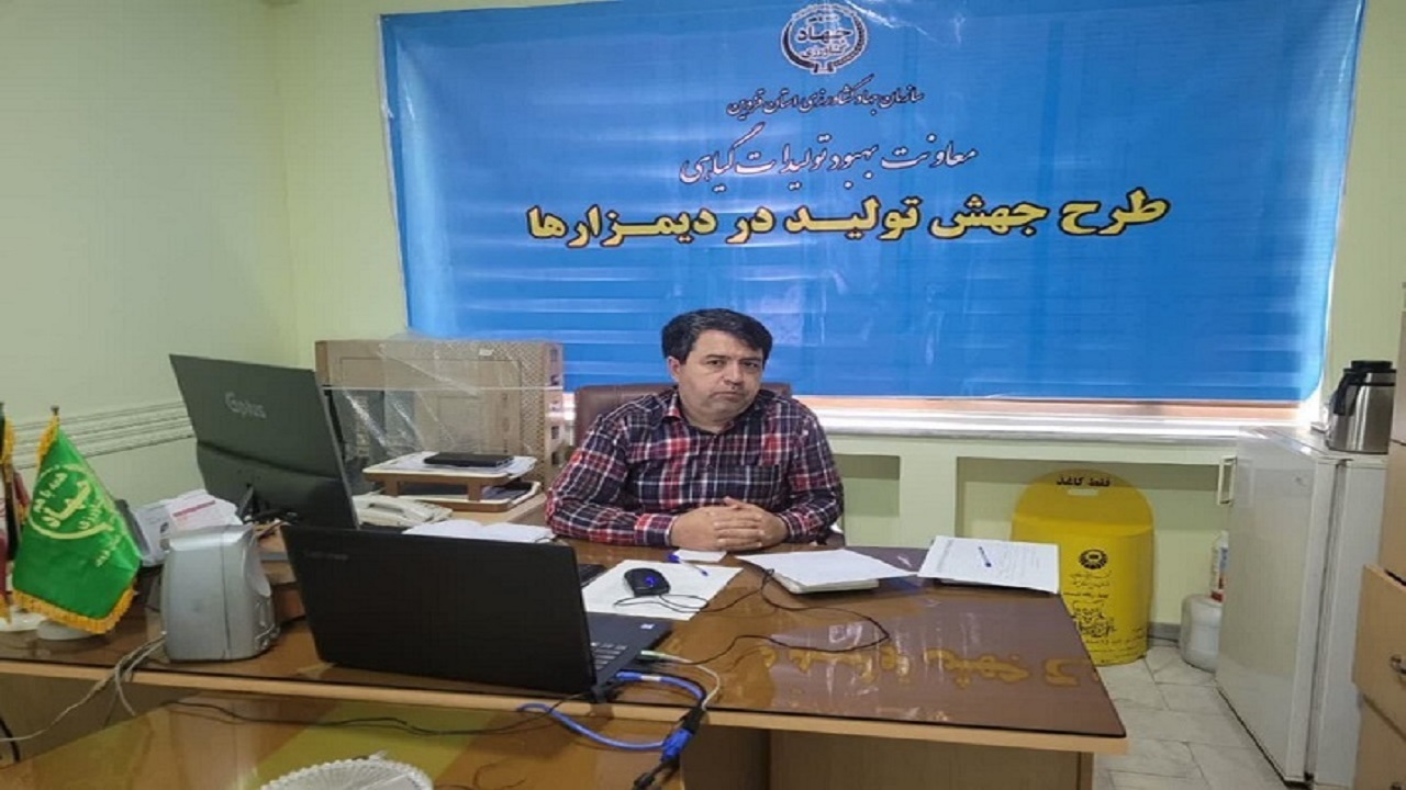 برداشت ۸۵ درصد مزارع گندم دیم طرح جهش تولید در استان قزوین
