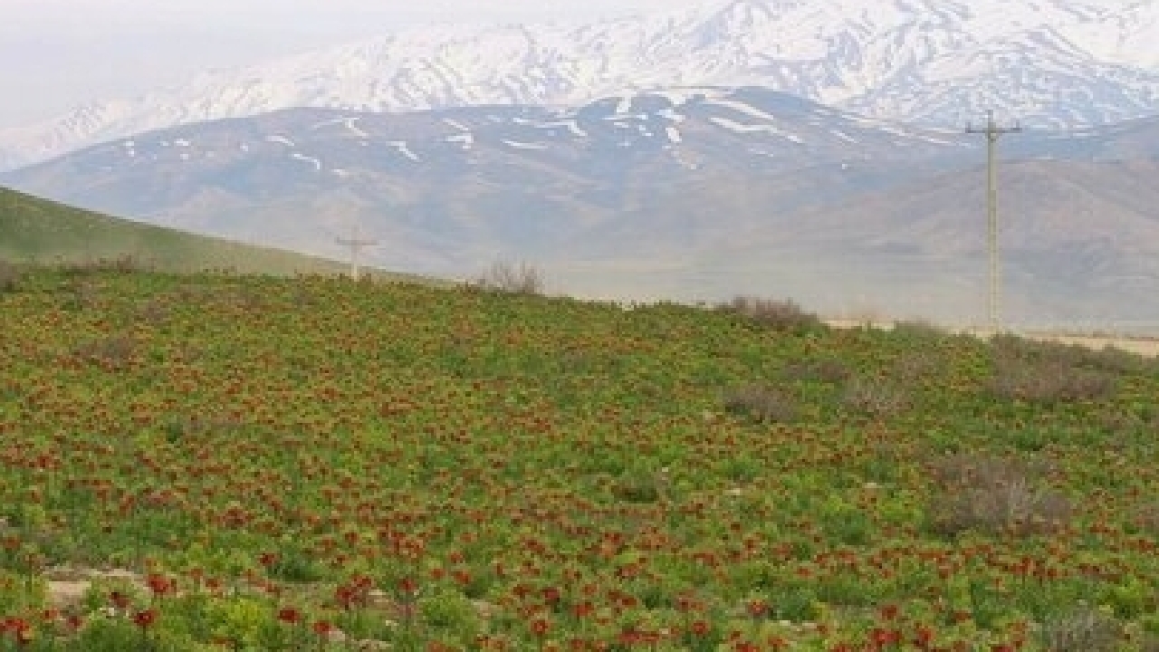 چهارمحال و بختیاری برای جذب گردشگر ظرفیت‌های متنوعی دارد